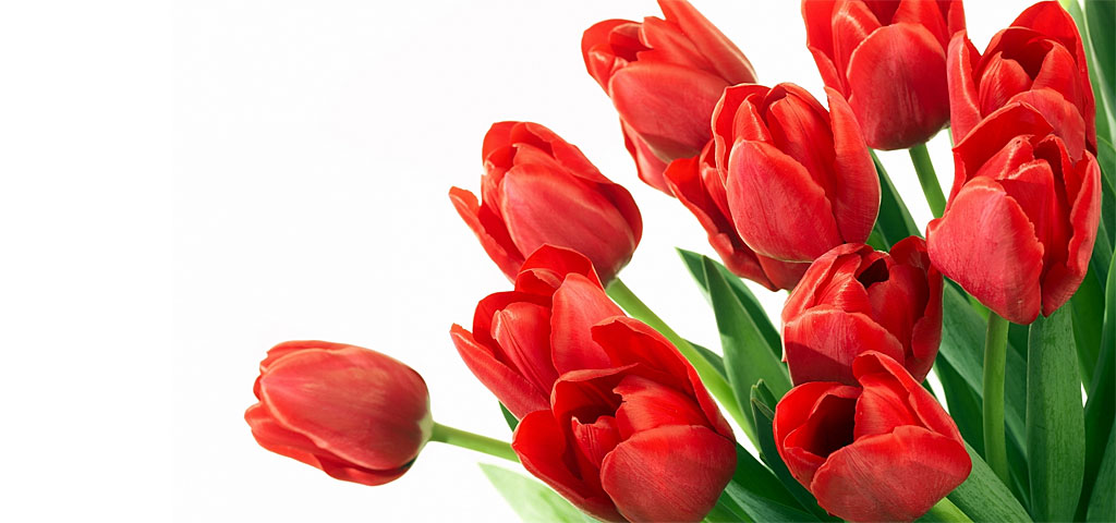 �������� 8 �����