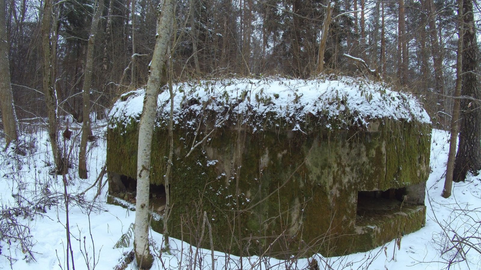 kak provesti zimnie kanikuly v belarusi, populyarnie mesta