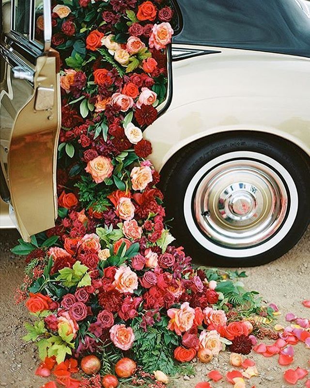 ���� �� �������, ���� ��������, ���������